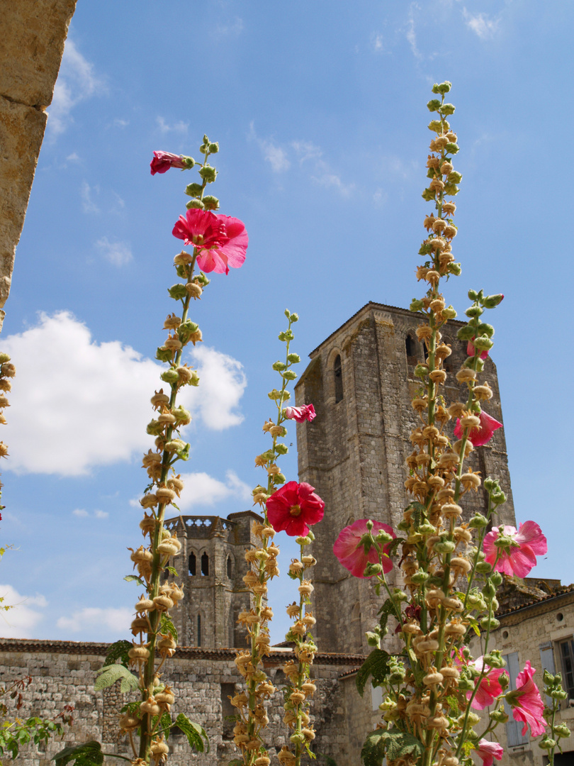 La Romieu (Gers) Tours de la Collégiale Saint-Pierre