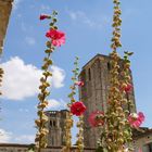 La Romieu (Gers) Tours de la Collégiale Saint-Pierre