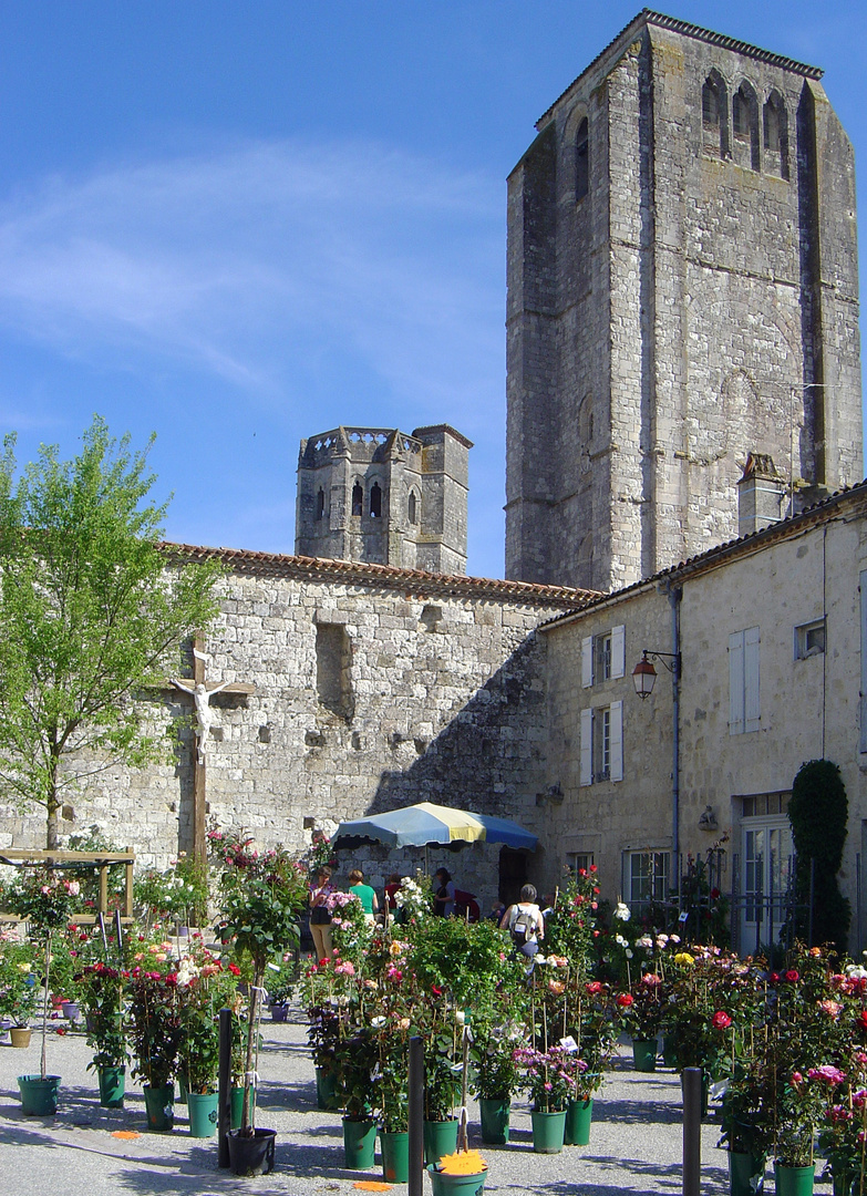 La Romieu (Gers) – Une autre vue du marché aux roses devant la collégiale