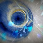 La ronde des bleus_Lomo