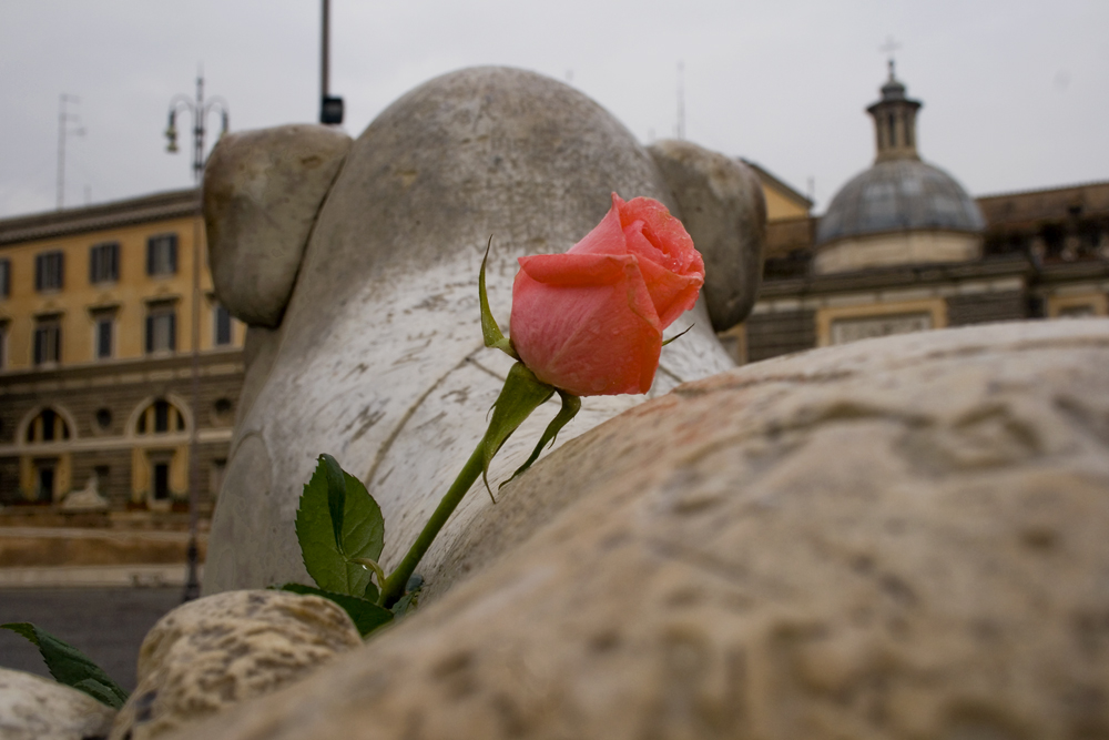 La Rosa e il Leone