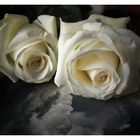 ...la rosa...