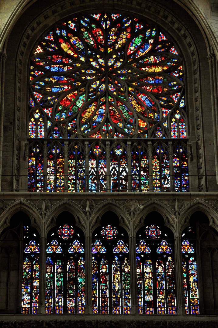 la rosace (vitraux cathédrales d'amiens (80)