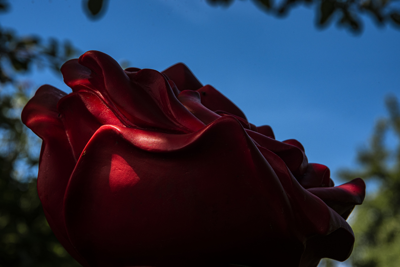 la rose rouge