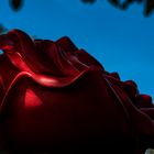 la rose rouge