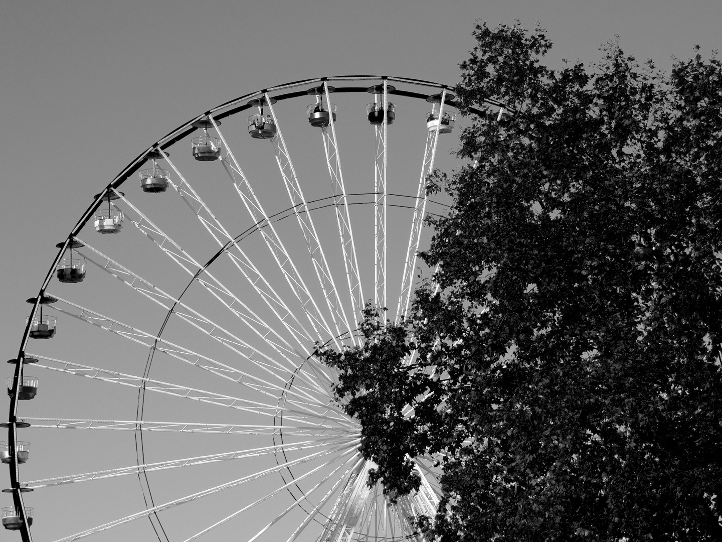 La roue dans l'arbre