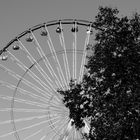 La roue dans l'arbre