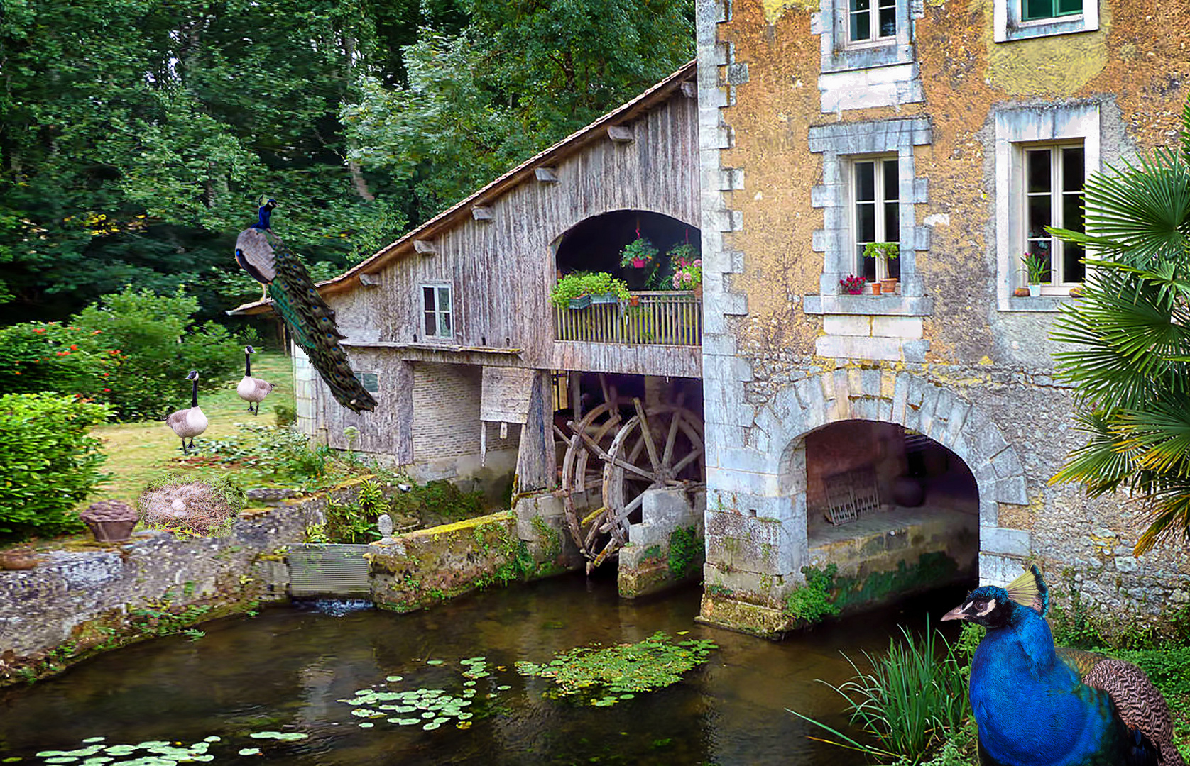 la-roue-du-moulin revisitée 