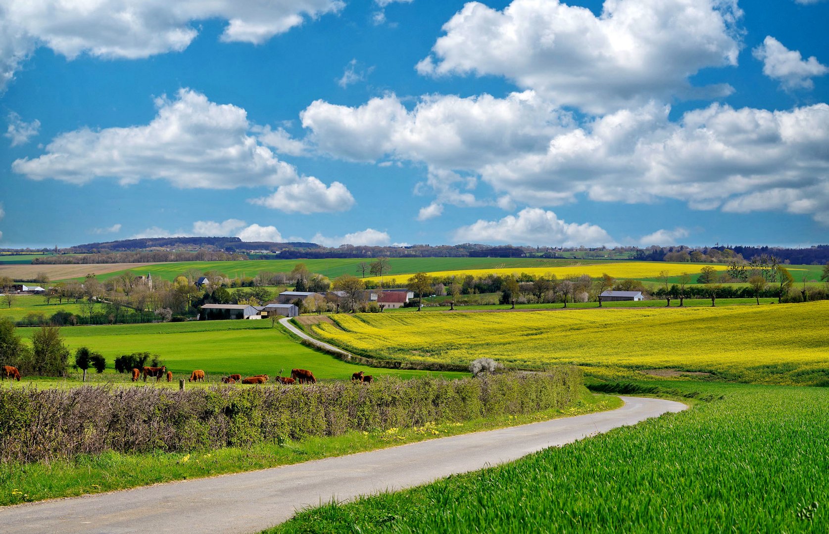 La route de campagne