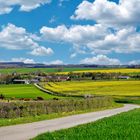 La route de campagne