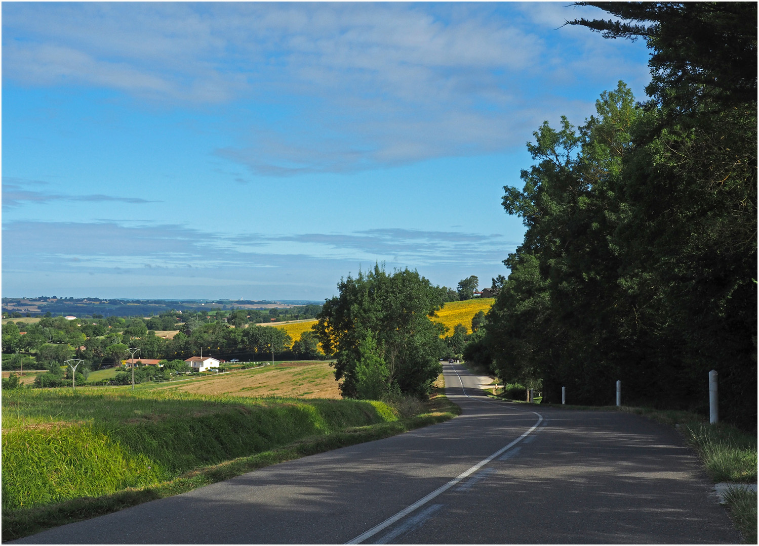 La route de Causssens à Condom