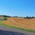 La route de Condom à Caussens après la moisson