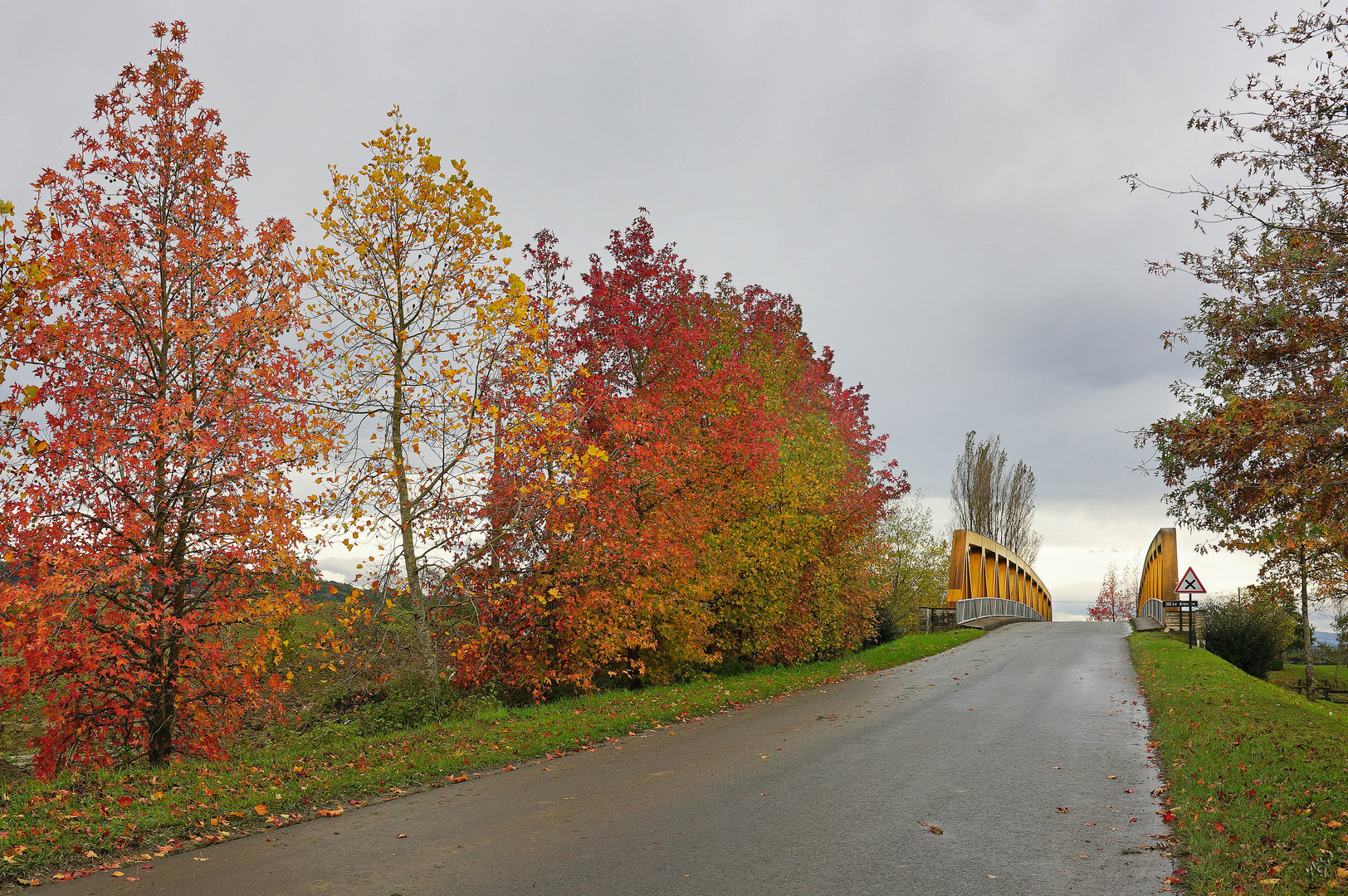 La route de l'automne...