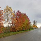 La route de l'automne...