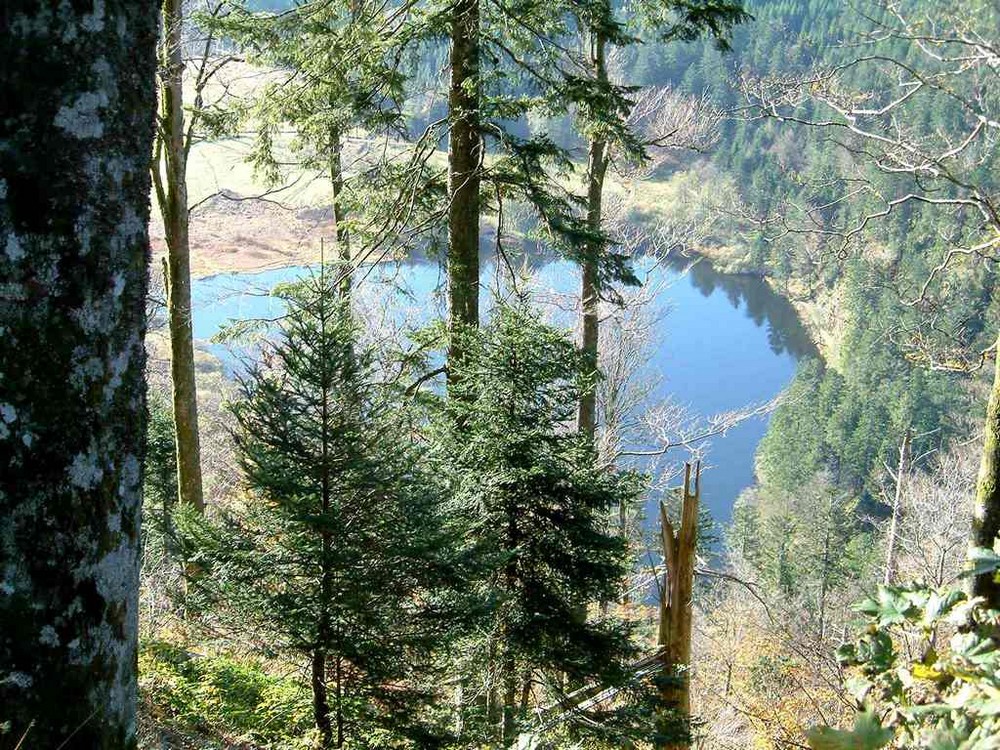 LA ROUTE DES CRETES - GERARDMER (FR)