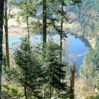 LA ROUTE DES CRETES - GERARDMER (FR)