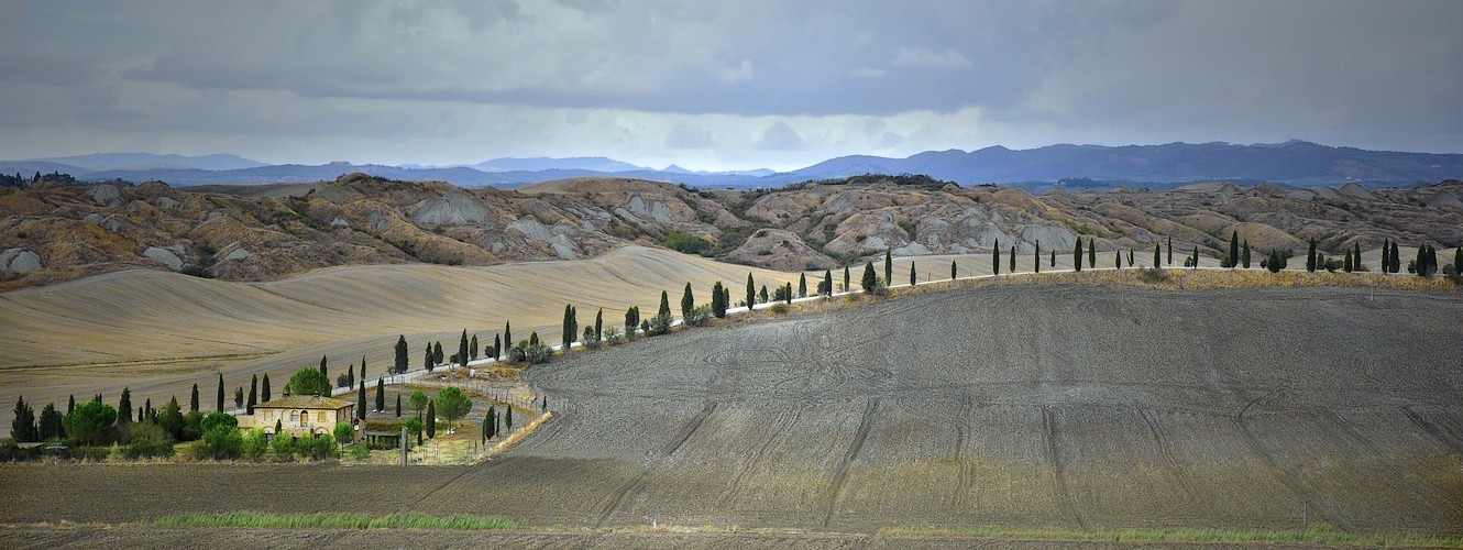 La route des cyprès