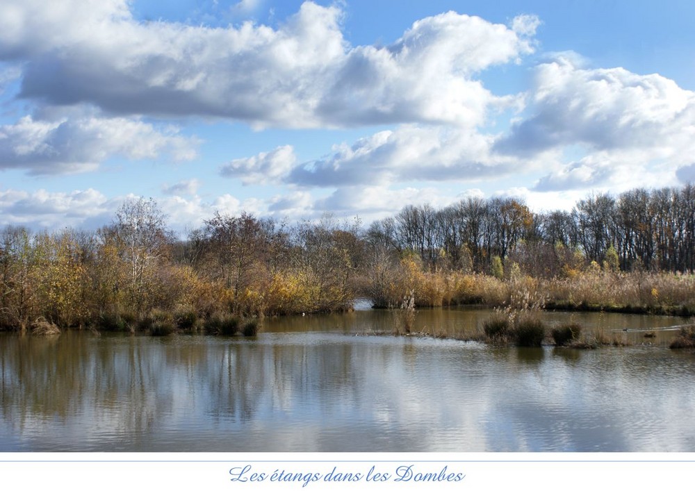 LA ROUTE DES ETANGS  DANS LA DOMBES