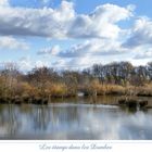 LA ROUTE DES ETANGS  DANS LA DOMBES