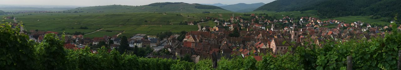La route des vins d' Alsace de Matmax67 