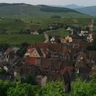 La route des vins d' Alsace