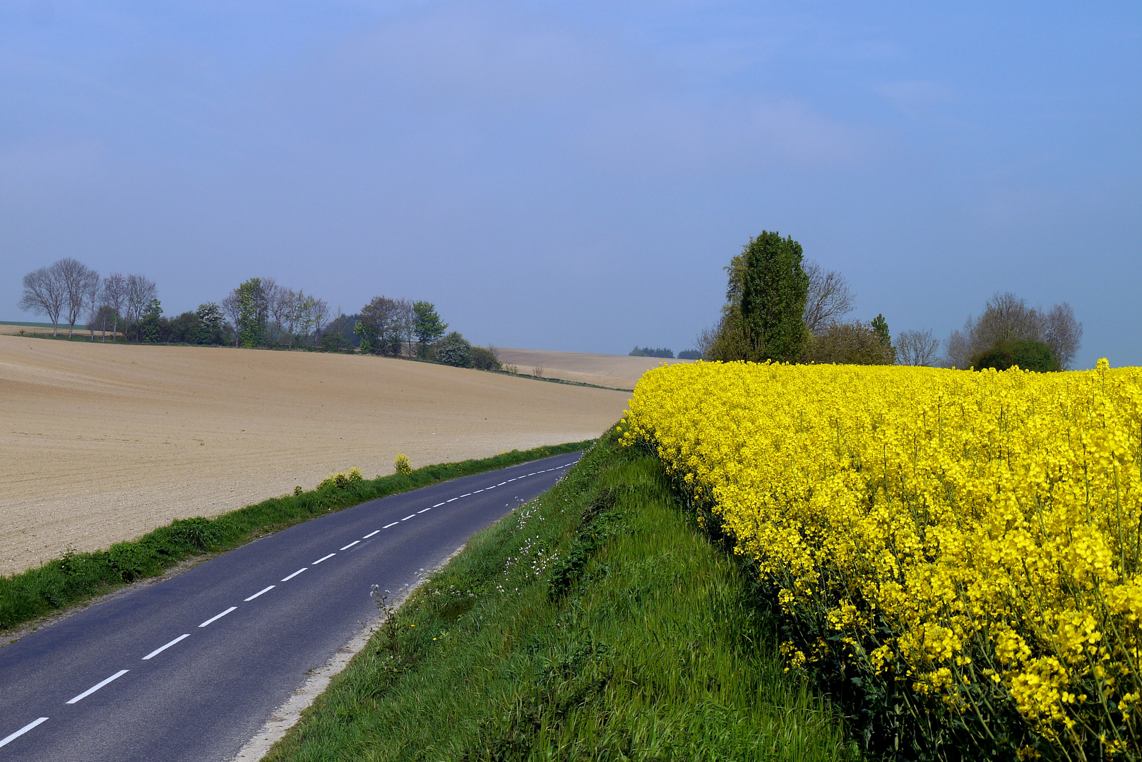 la route du colza