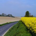 la route du colza