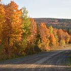 La route du lac en automne