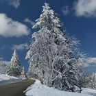 La route du paradis