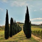  la route du vin de chianti en fin de journée...