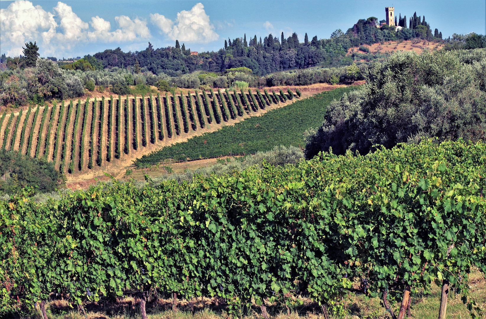 la route du vin et de l huile d olive ....