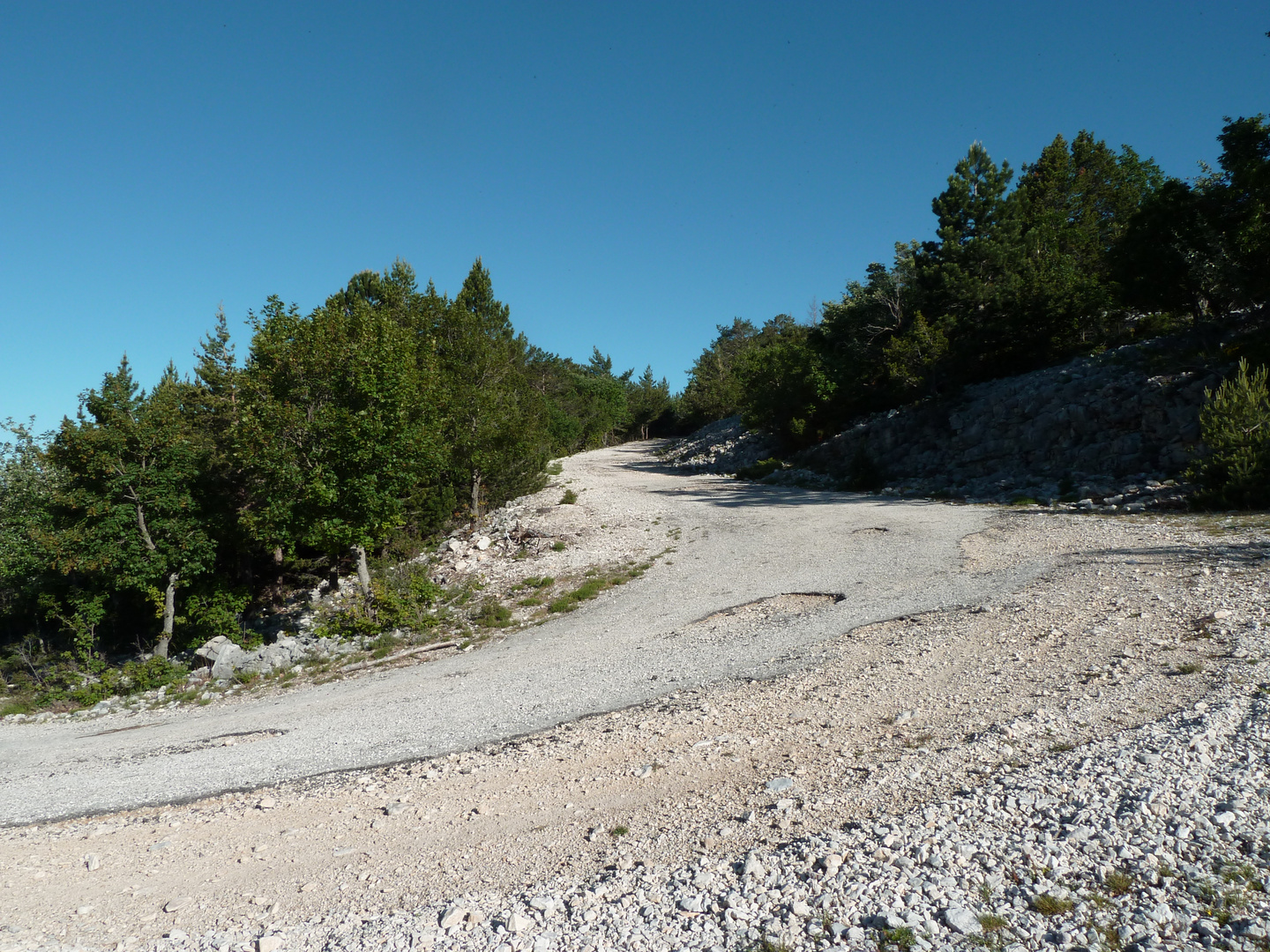 la route forestière pour faire Le Galérien du Ventoux