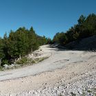 la route forestière pour faire Le Galérien du Ventoux