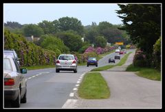 " La route Fouesnant Beg Meil en ce moment "