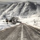 LA ROUTE GELÉE