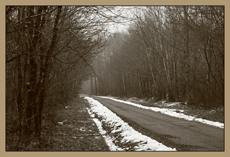 la route s'enfonce dans le brouillard et le froid