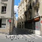 la rue aux pigeons