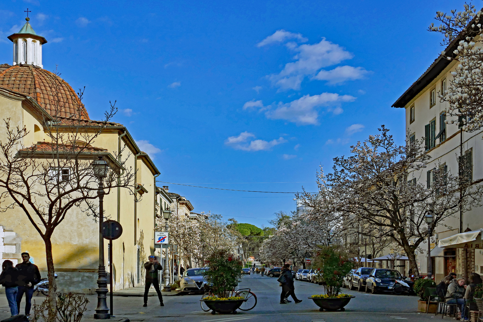 la rue des magnolias