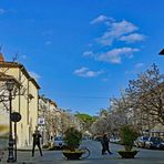 la rue des magnolias