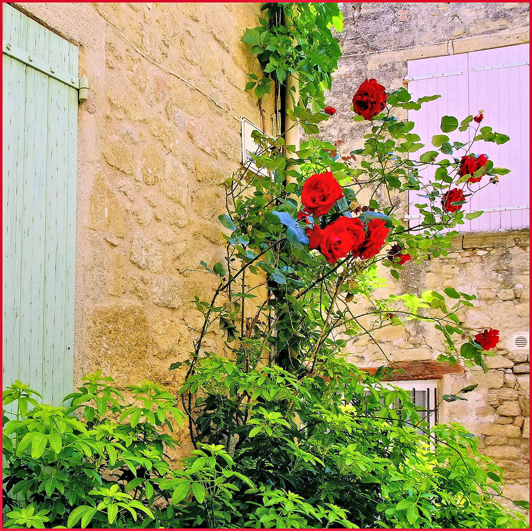 La ruelle aux roses