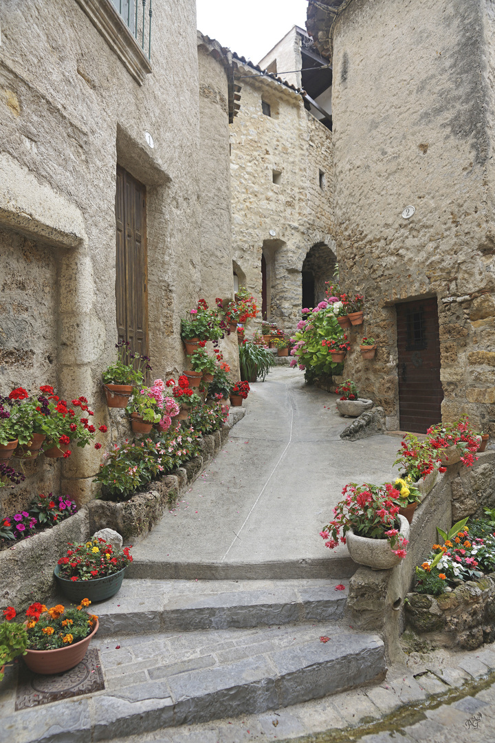 La ruelle fleurie