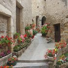 La ruelle fleurie