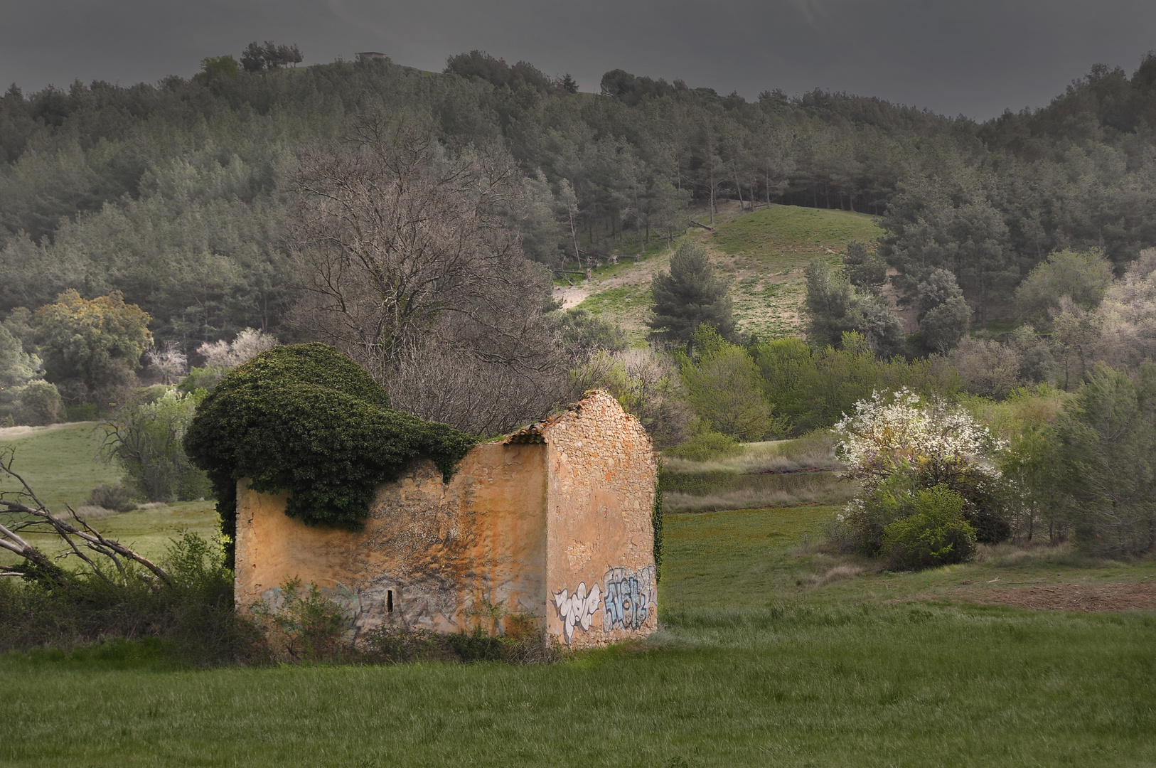 La ruine