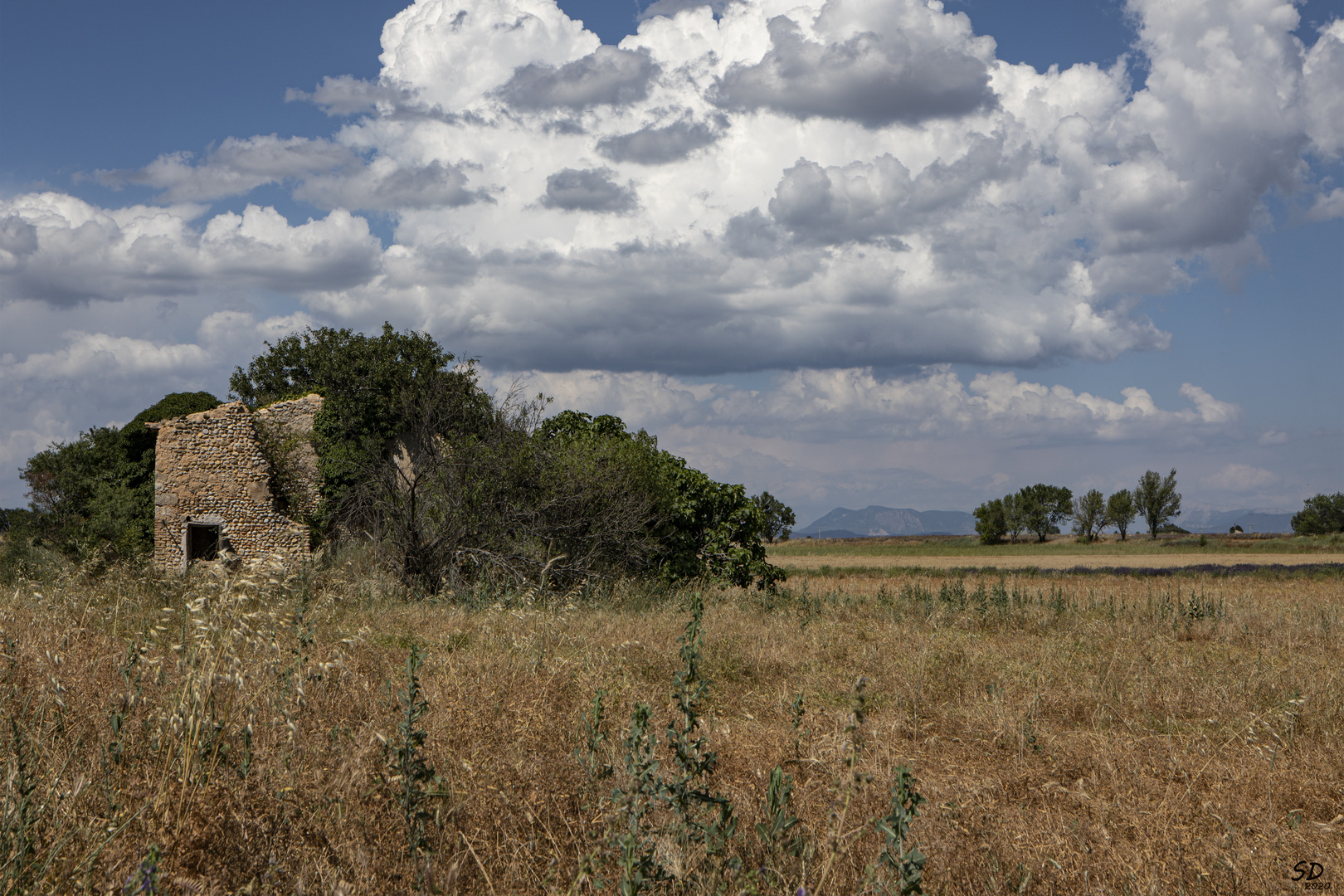 La ruine sur le plateau de Valensole .