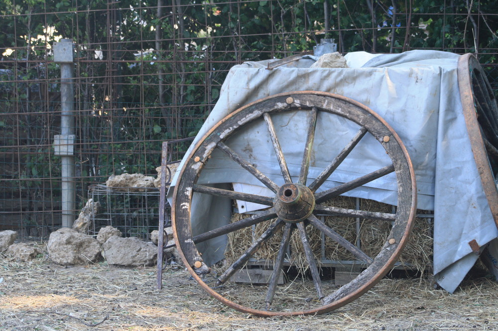 la ruota... della fortuna