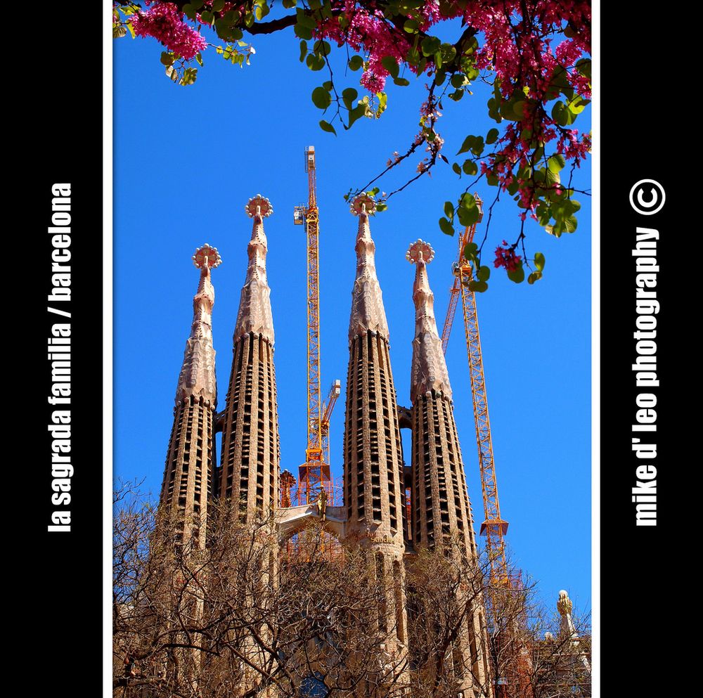 la sagrada familia