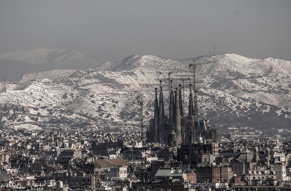 La Sagrada Familia - Barcelona