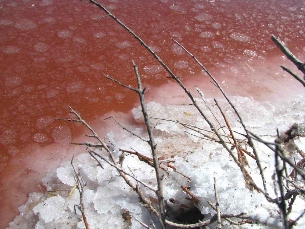 La sal como la nieve (Francia Salvaje)