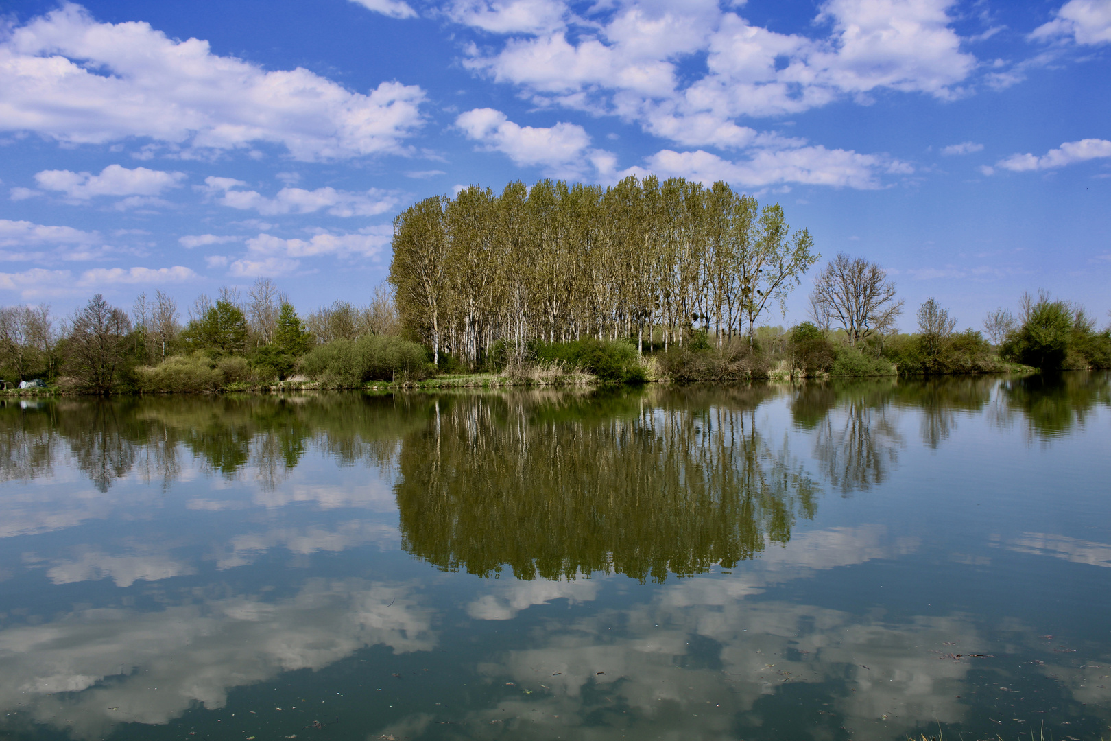 ... la Saône !!...