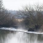 La Saône à Ray sur Saône